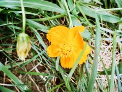 -天津东丽湖风景区