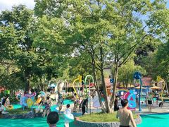 -苏州乐园森林水世界