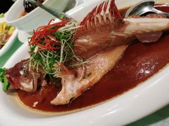 翅汤东星斑-金米箩大酒店(五角场店)