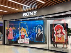 -Sony Store索尼(广州正佳店)