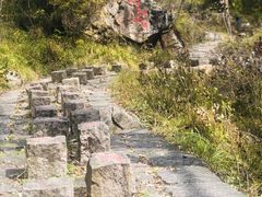 -驼梁风景区