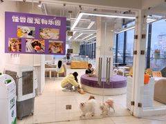 -怪兽屋·羊驼·猫咖·狗咖(俊华广场店)