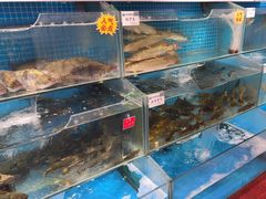 -胖姐渔村(中源大道店)