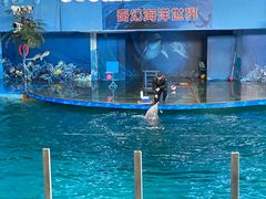 -苏州海洋馆
