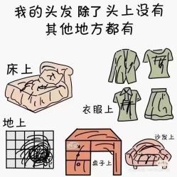 -诗碧曼养发