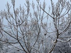 -大明山自然探索公园