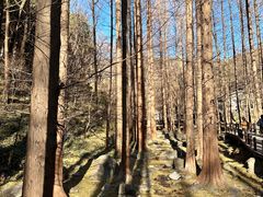 -国家植物园南园