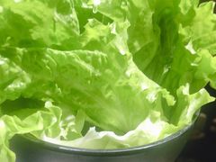 -九田家黑牛烤肉料理(珠江摩尔店)