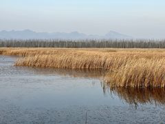 -野鸭湖国家湿地公园