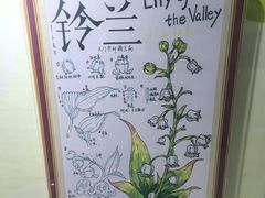 -上海昆虫博物馆