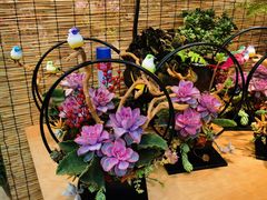 -双季花艺园艺市场(浦东店)