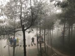 -梦幻奥陶纪景区