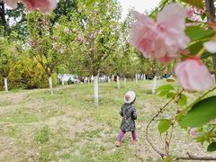 -长白岛森林公园