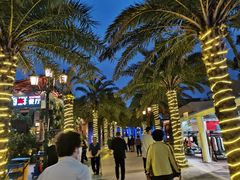 -三亚海昌梦幻海洋不夜城