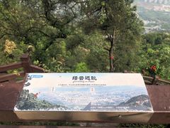 -缙云山景区