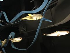 iphone_upload_pic-同济大学四平路校区深海探索馆