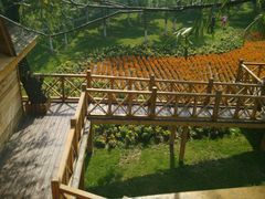 -武清南湖绿博园