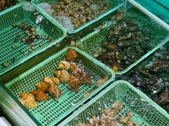 -隆都四季香饭店(碧海路店)