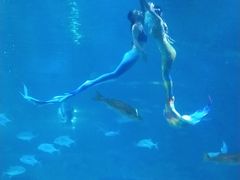 -福州罗源湾海洋世界旅游区