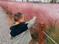 -汉长安城未央宫国家考古遗址公园