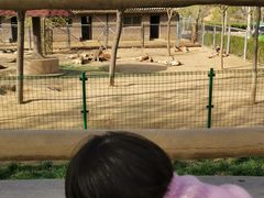 -石家庄市动物园