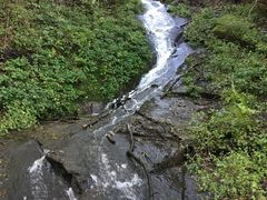 -内乡宝天曼生态旅游区