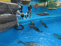 -海合安成都极地海洋公园