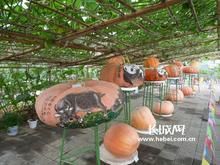 -北戴河集发农业梦想王国
