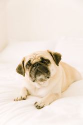 -ZOO KIDS象集摄影工作室(西城公馆店)