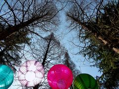 -贵阳市花溪国家城市湿地公园