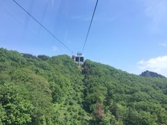 -牛背梁国家森林公园