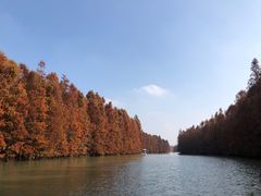 -上海海湾国家森林公园