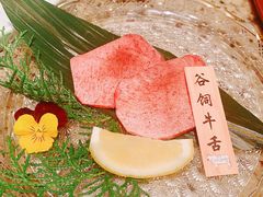 -老乾杯(深圳湾万象城店)