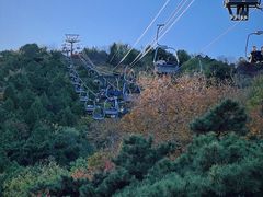 -香山公园