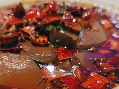 -一捞鲜•青岛大虾面(八大关店)