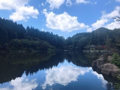 -四明山国家森林公园