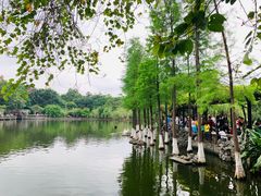 -东莞市可园博物馆