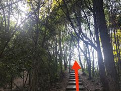 -龙坞茶村