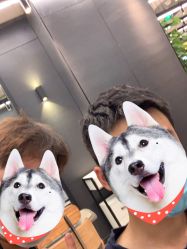 -藤野造型·专业烫染店