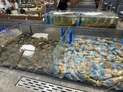 -半岛听涛蒸汽海鲜自助(K11店)