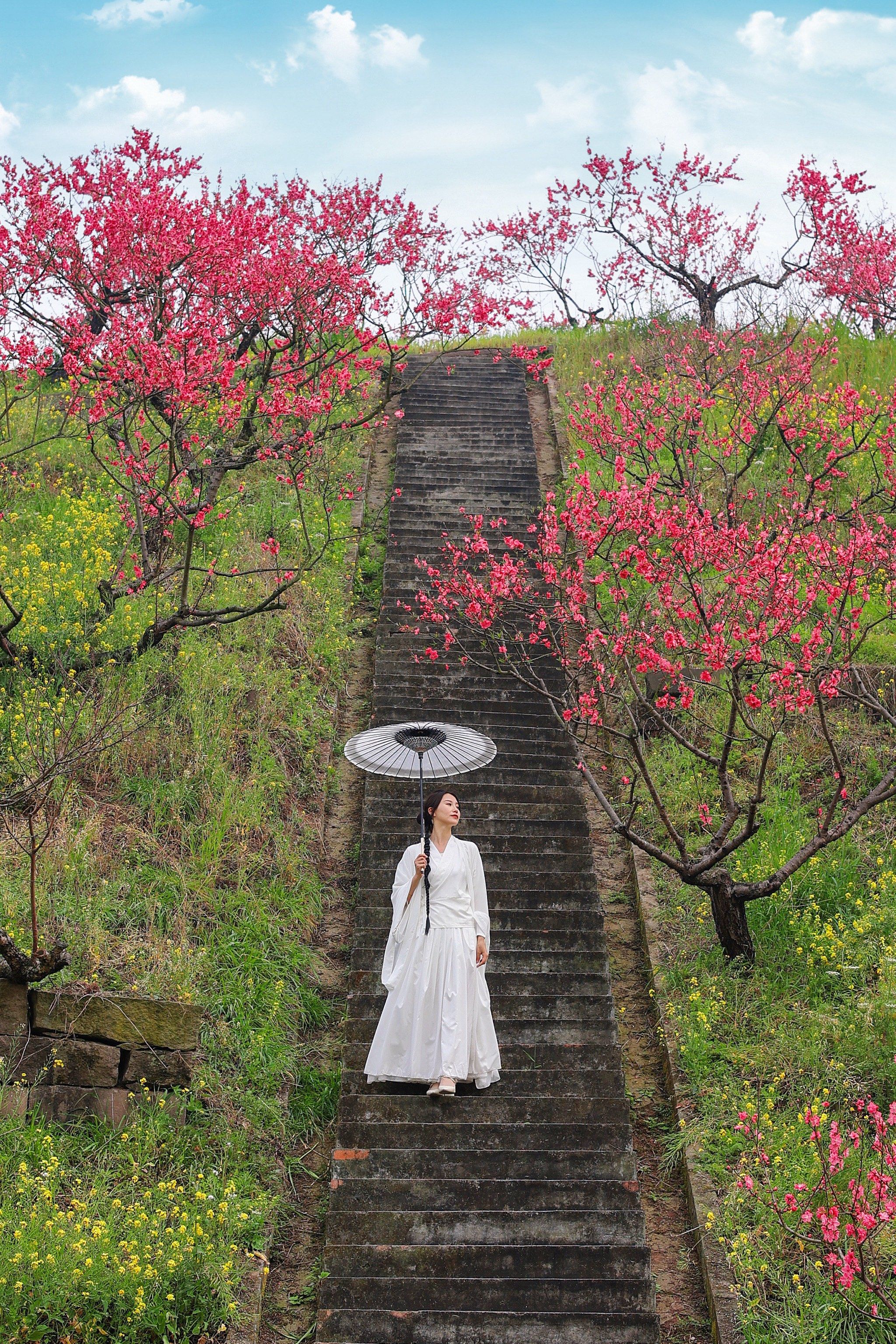 重庆周边赏花,漫山桃花林美爆了!
