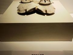 -中国国家博物馆