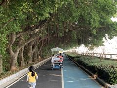 -大湾区中央湿地公园