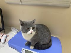 -芭比堂动物医院·犬猫全科·异宠专科(雁塔分院)