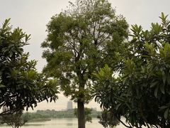 -灞河西岸滨河公园