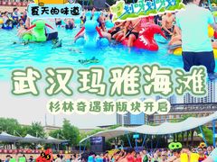 -武汉玛雅海滩水公园