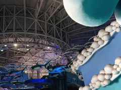 -烟台海昌鲸鲨海洋公园