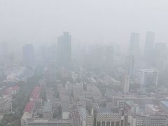 -视界美食自助餐厅·石家庄希尔顿酒店