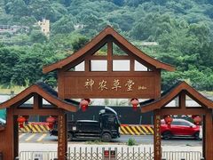 -广州神农草堂中医药博物馆