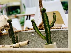 -FUTURE LOUNGE(太古里店)